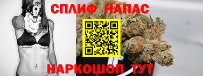 сатива Коммунар