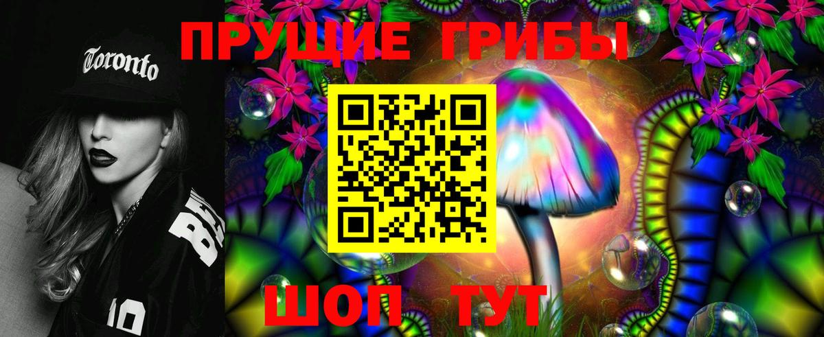 Клинцы  Галлюциногенные грибы Cubensis  Вход с VPN 