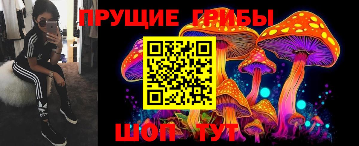 Галлюциногенные грибы MAGIC MUSHROOMS Клинцы