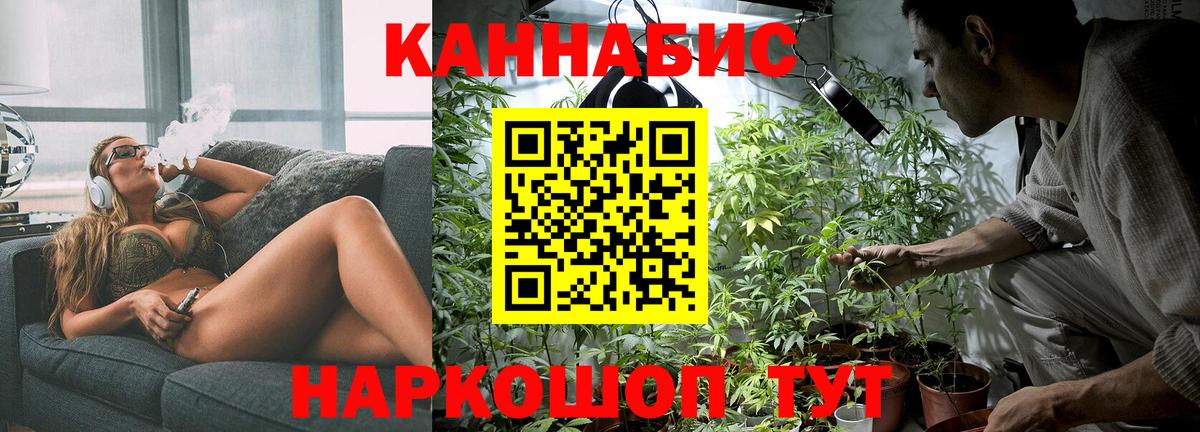 Бошки марихуана план Клинцы